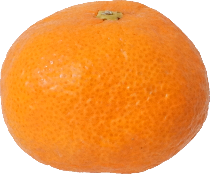 みかん（愛知県産）｜商用可フリー画像・背景透過