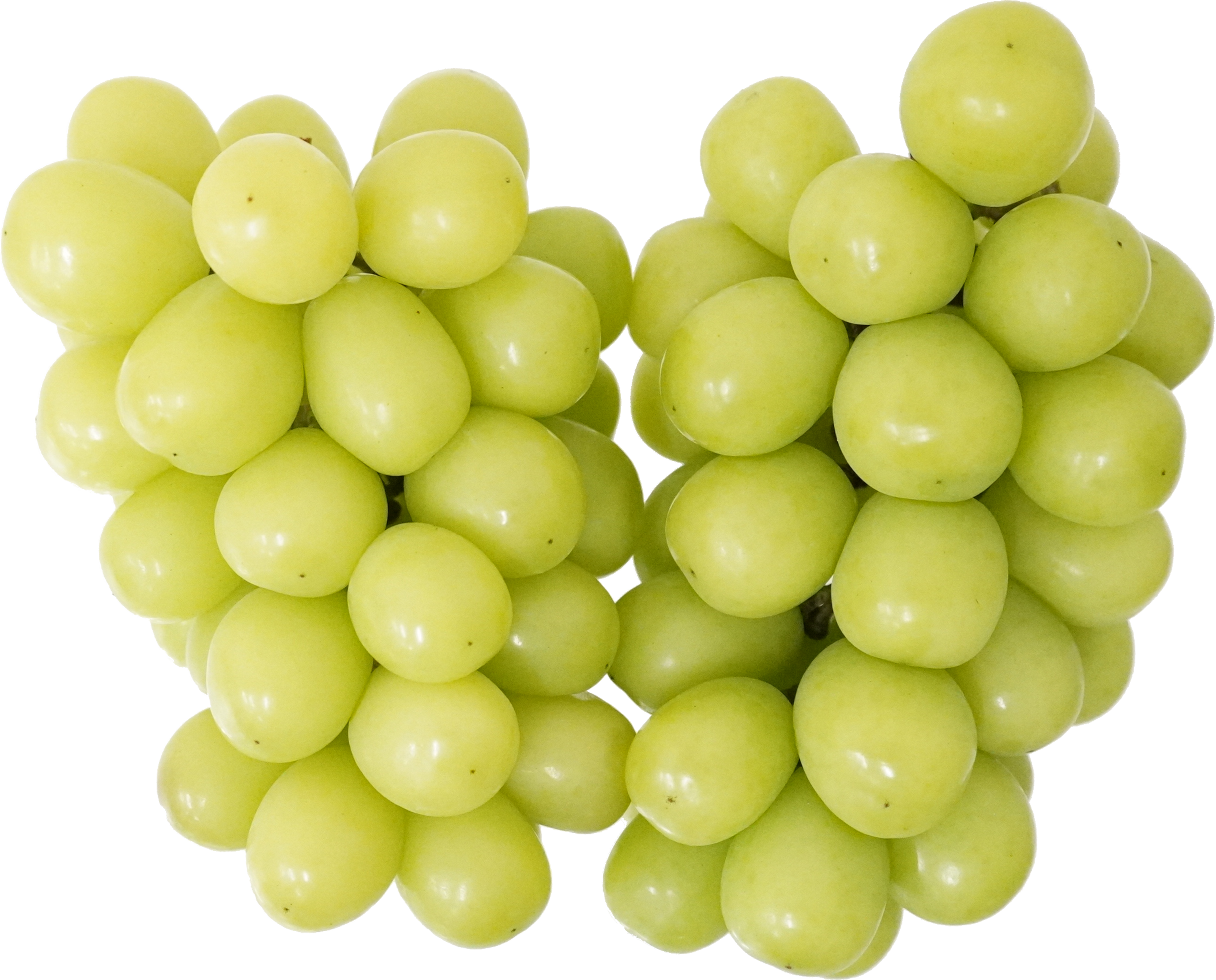 マスカット｜商用可フリー画像・背景透過