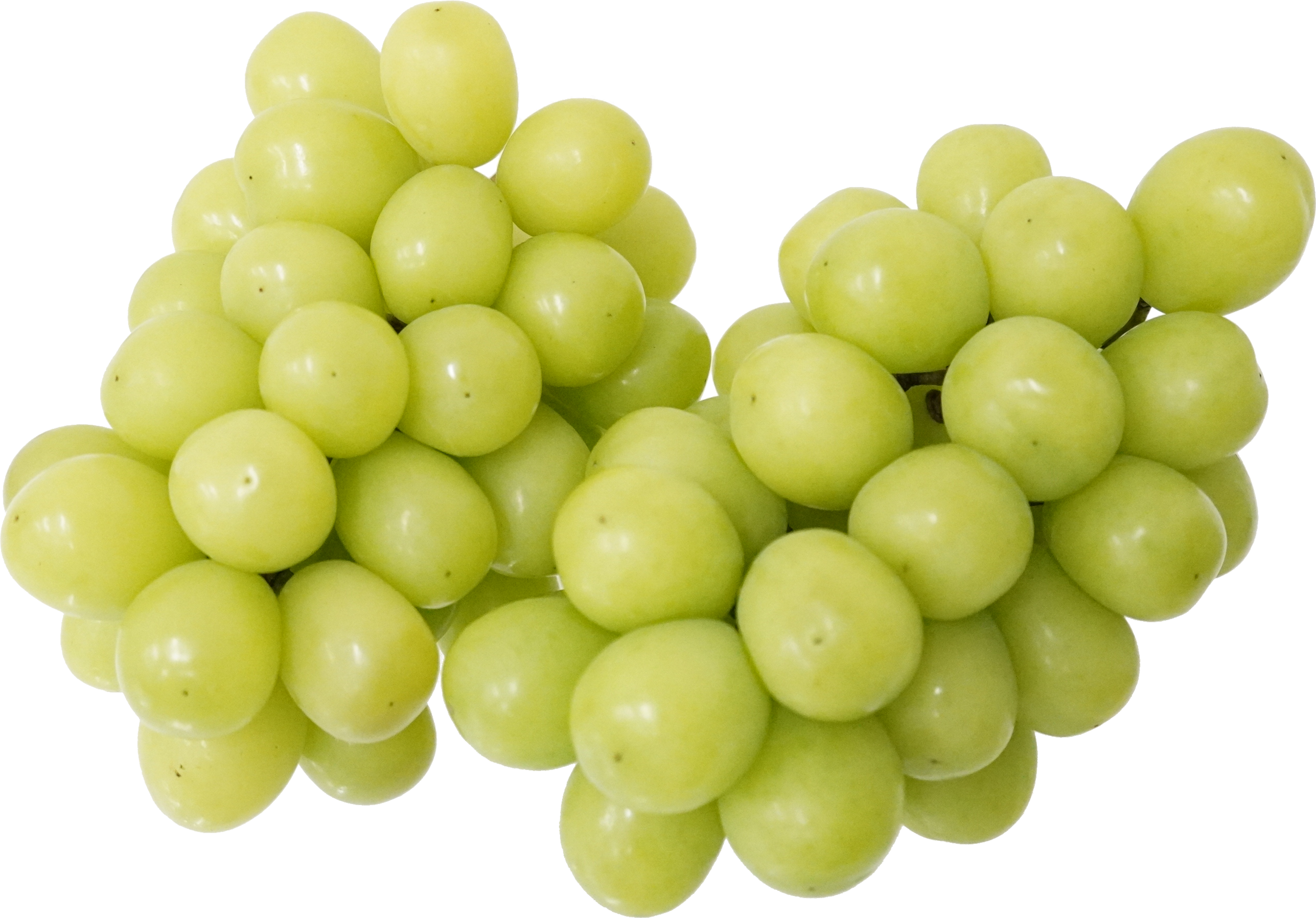 マスカット｜商用可フリー画像・背景透過