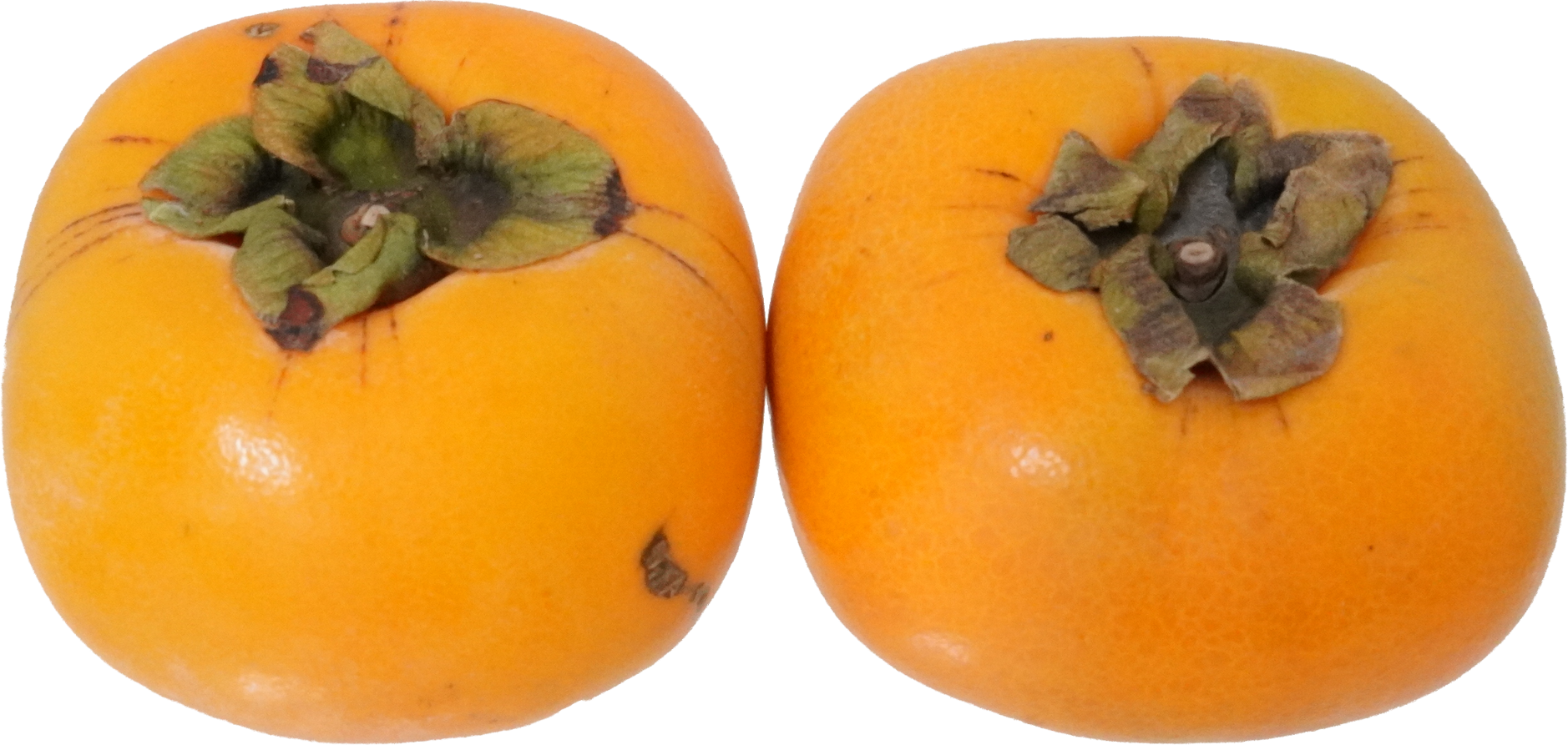 かき｜商用可フリー画像・背景透過