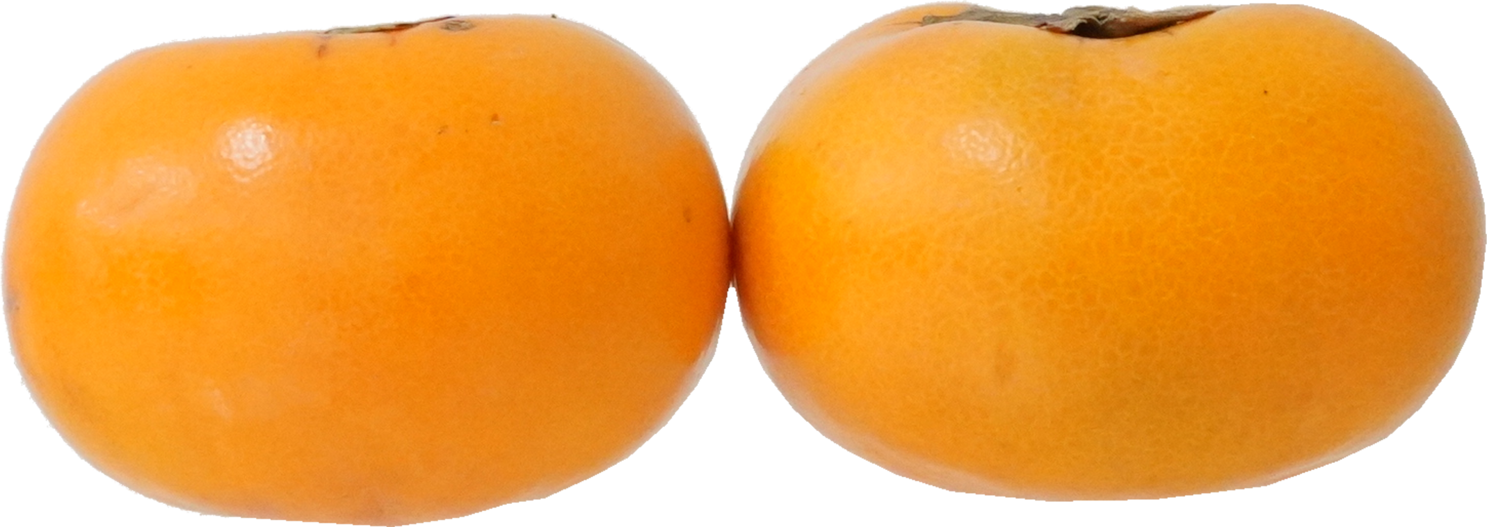 かき｜商用可フリー画像・背景透過