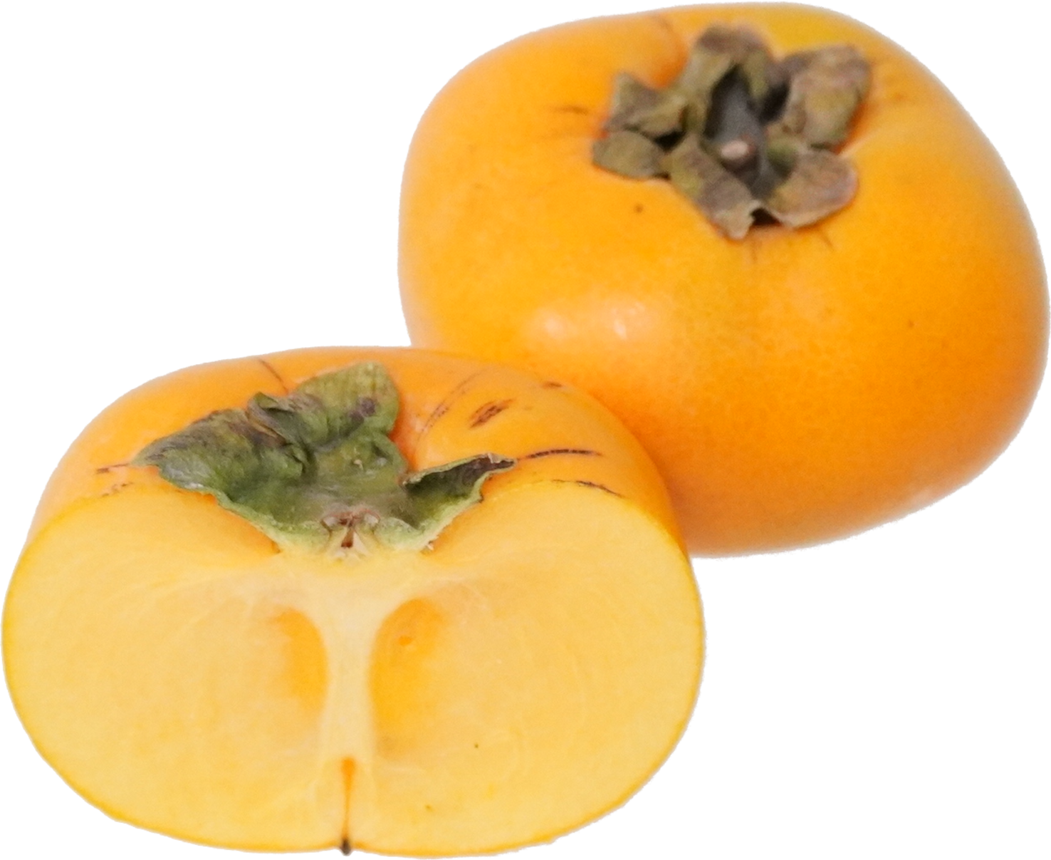 かき｜商用可フリー画像・背景透過