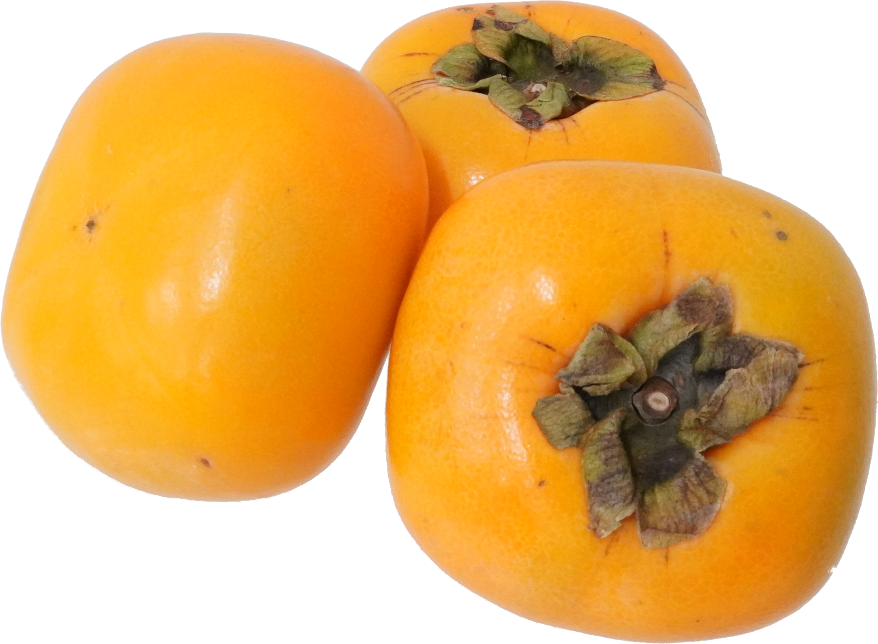 かき｜商用可フリー画像・背景透過