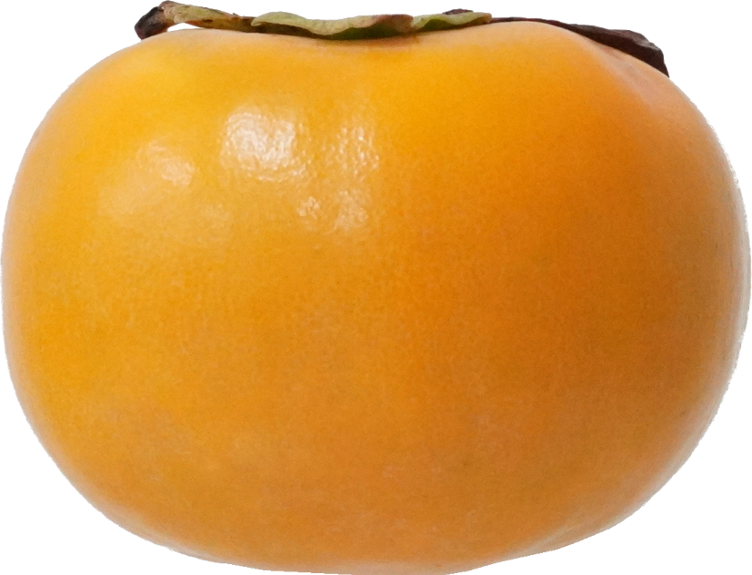 かき（愛知県産）｜商用可フリー画像・背景透過