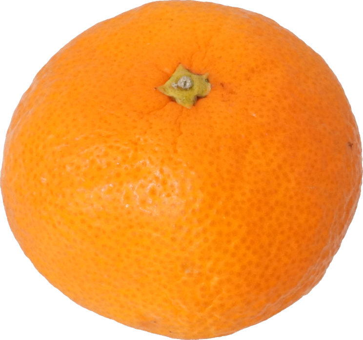 みかん（愛知県産）｜商用可フリー画像・背景透過
