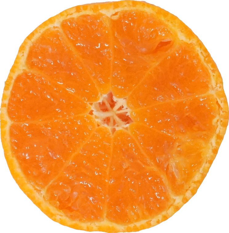 みかん（愛知県産）｜商用可フリー画像・背景透過