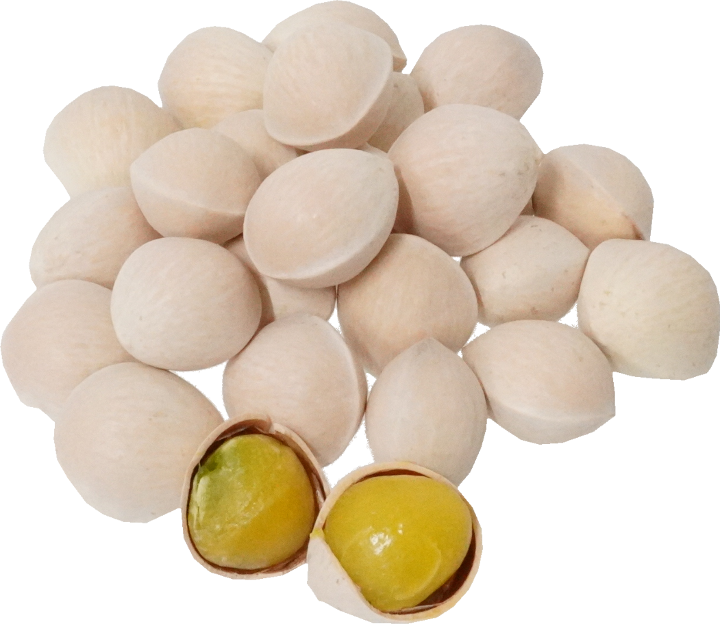 ぎんなん（愛知県産）｜商用可フリー画像・背景透過