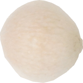 ぎんなん（愛知県産）｜商用可フリー画像・背景透過