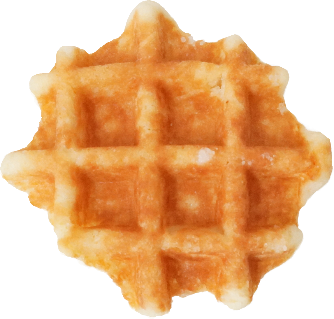ワッフル（プレーン）｜商用可フリー画像・背景透過