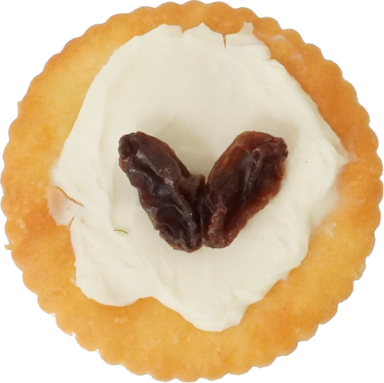 カナッペ（レーズン）｜商用可フリー画像・背景透過