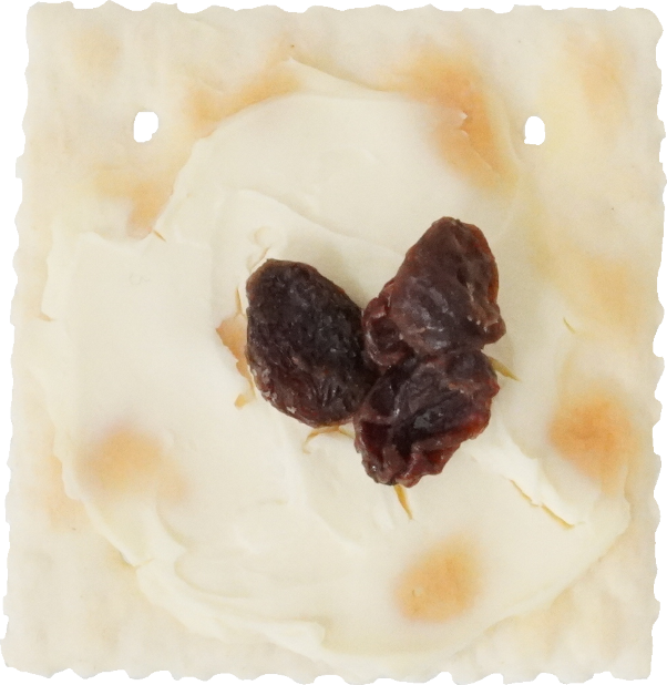 カナッペ（レーズン）｜商用可フリー画像・背景透過