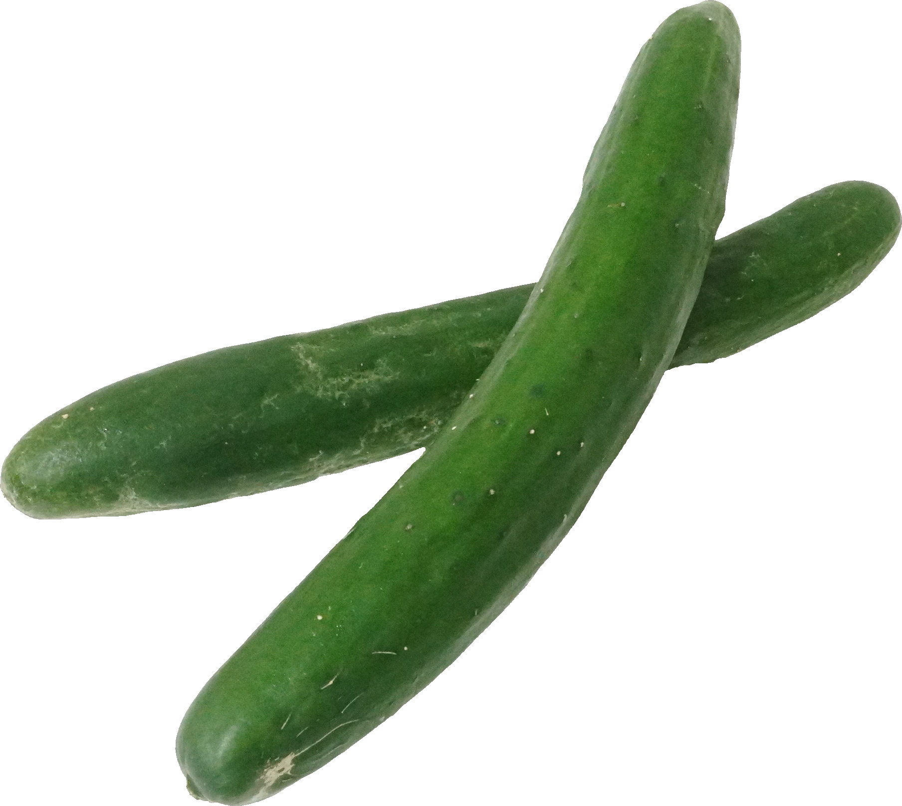 きゅうり（愛知県産）｜商用可フリー画像・背景透過