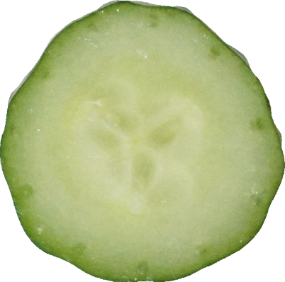 きゅうり（愛知県産）｜商用可フリー画像・背景透過