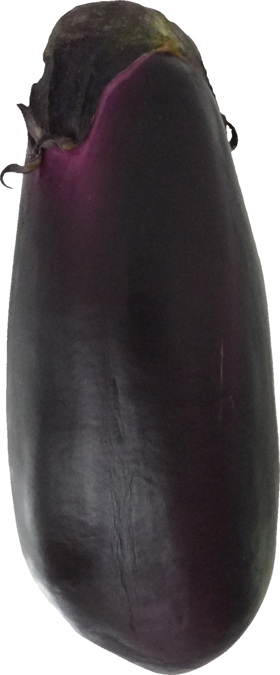 なす（愛知県産）｜商用可フリー画像・背景透過