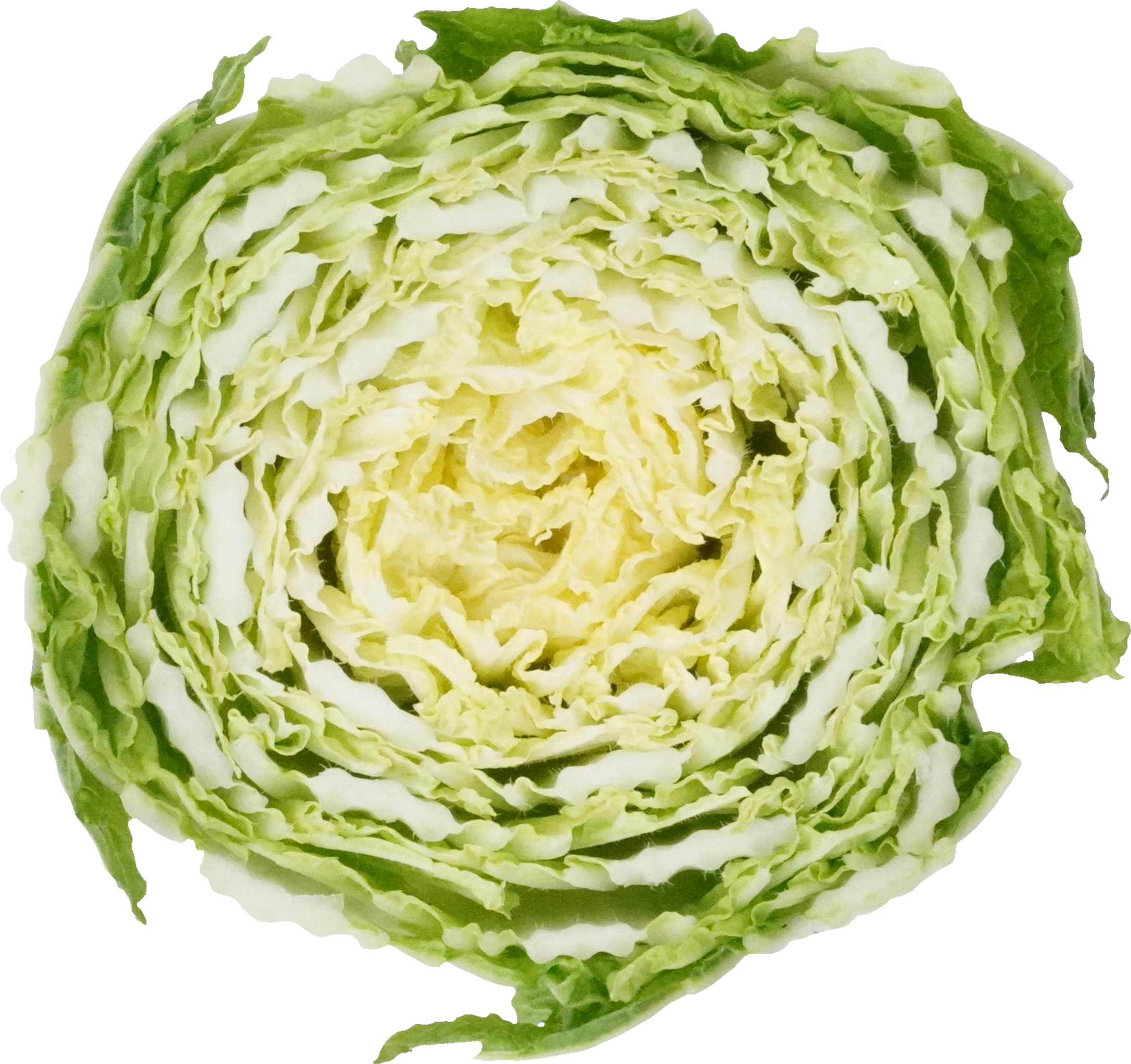 はくさい（愛知県産）｜商用可フリー画像・背景透過