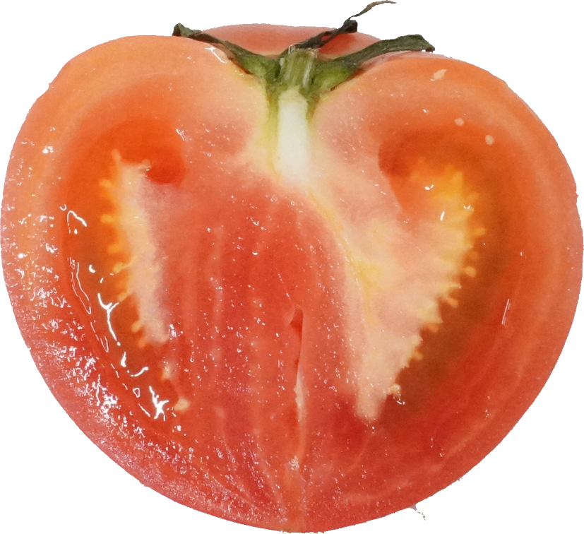 トマト（愛知県産）｜商用可フリー画像・背景透過