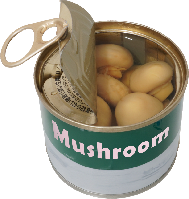 マッシュルーム（水煮缶詰）｜商用可フリー画像・背景透過