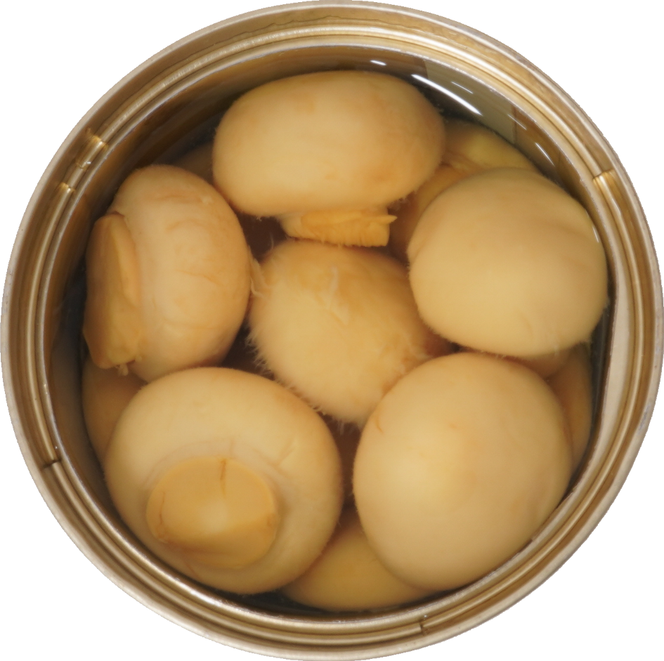 マッシュルーム（水煮缶詰）｜商用可フリー画像・背景透過