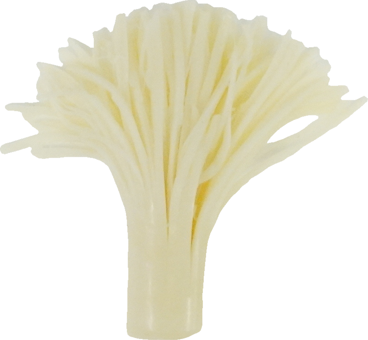 チーズ｜商用可フリー画像・背景透過