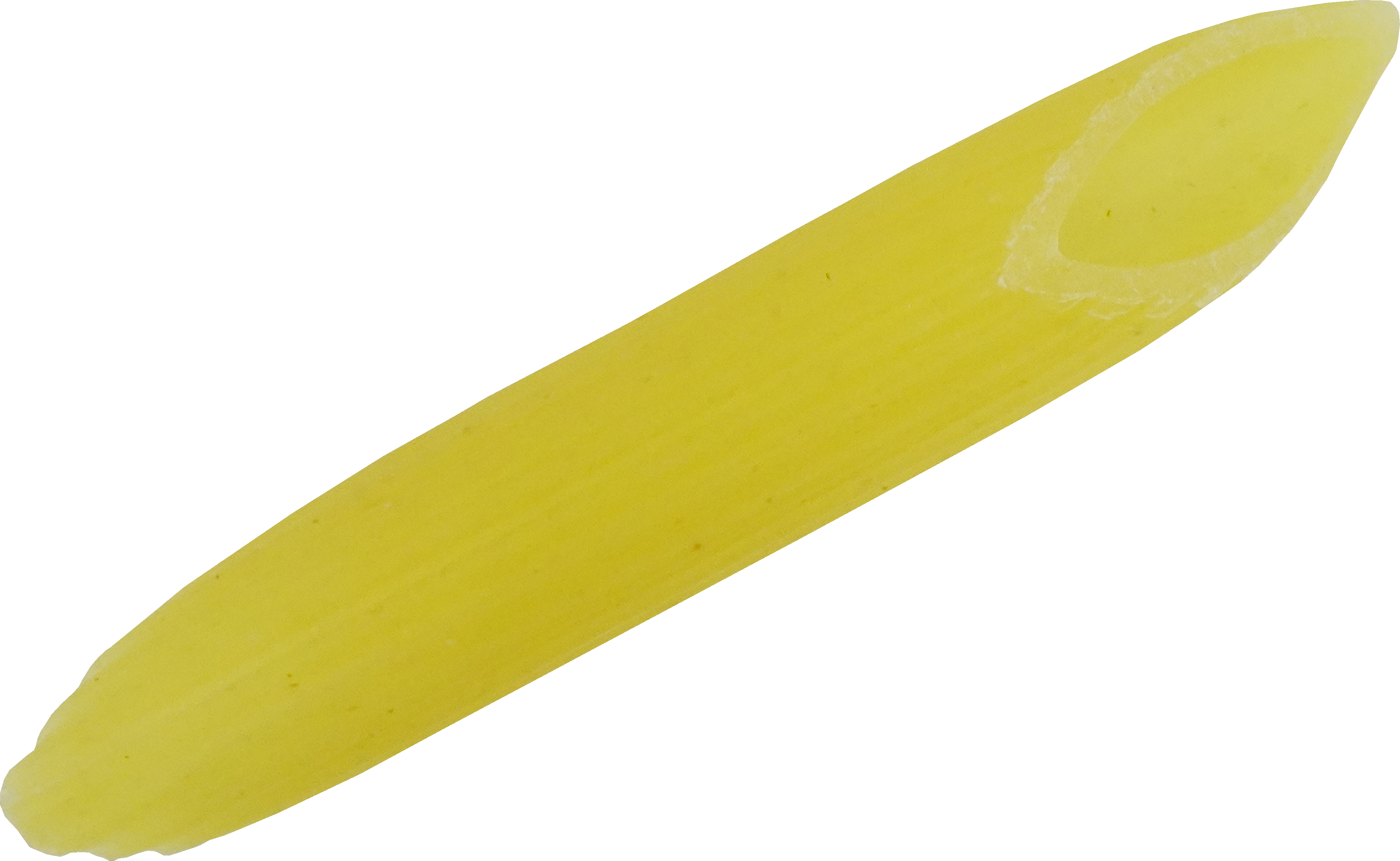 ペンネ｜商用可フリー画像・背景透過