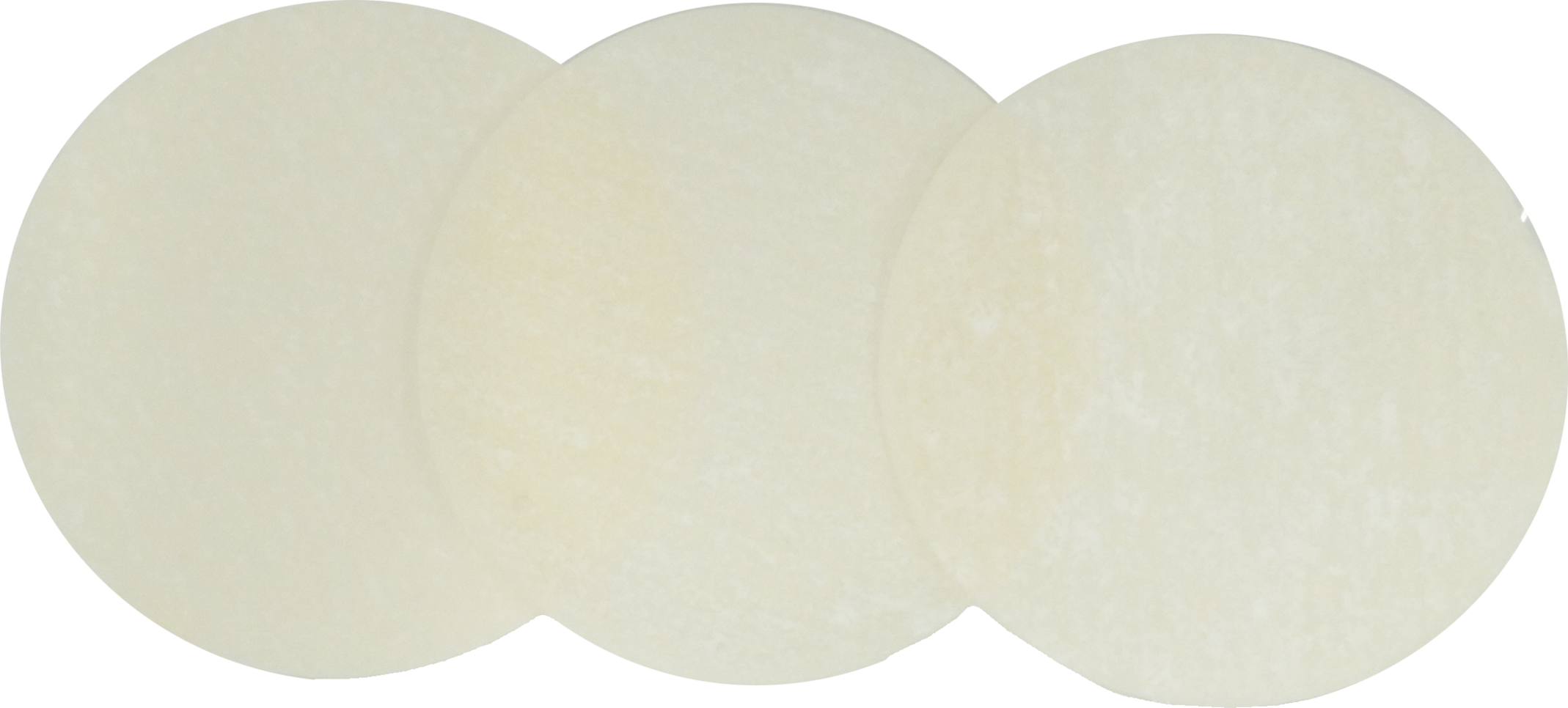 ぎょうざの皮｜商用可フリー画像・背景透過