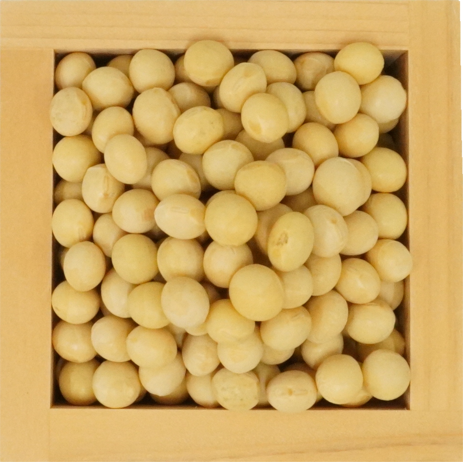 だいず（乾）｜商用可フリー画像・背景透過