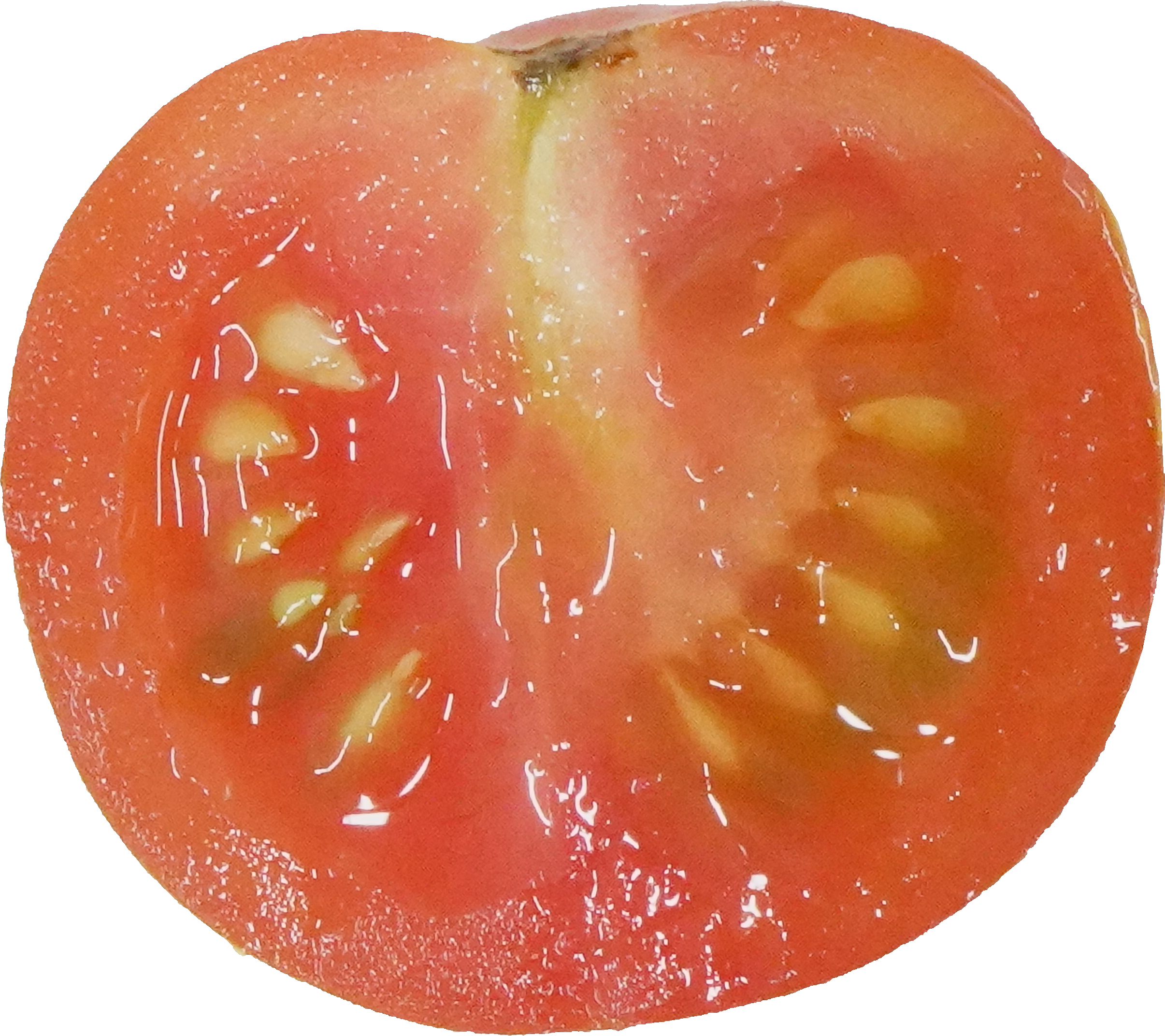 ミニトマト｜商用可フリー画像・背景透過